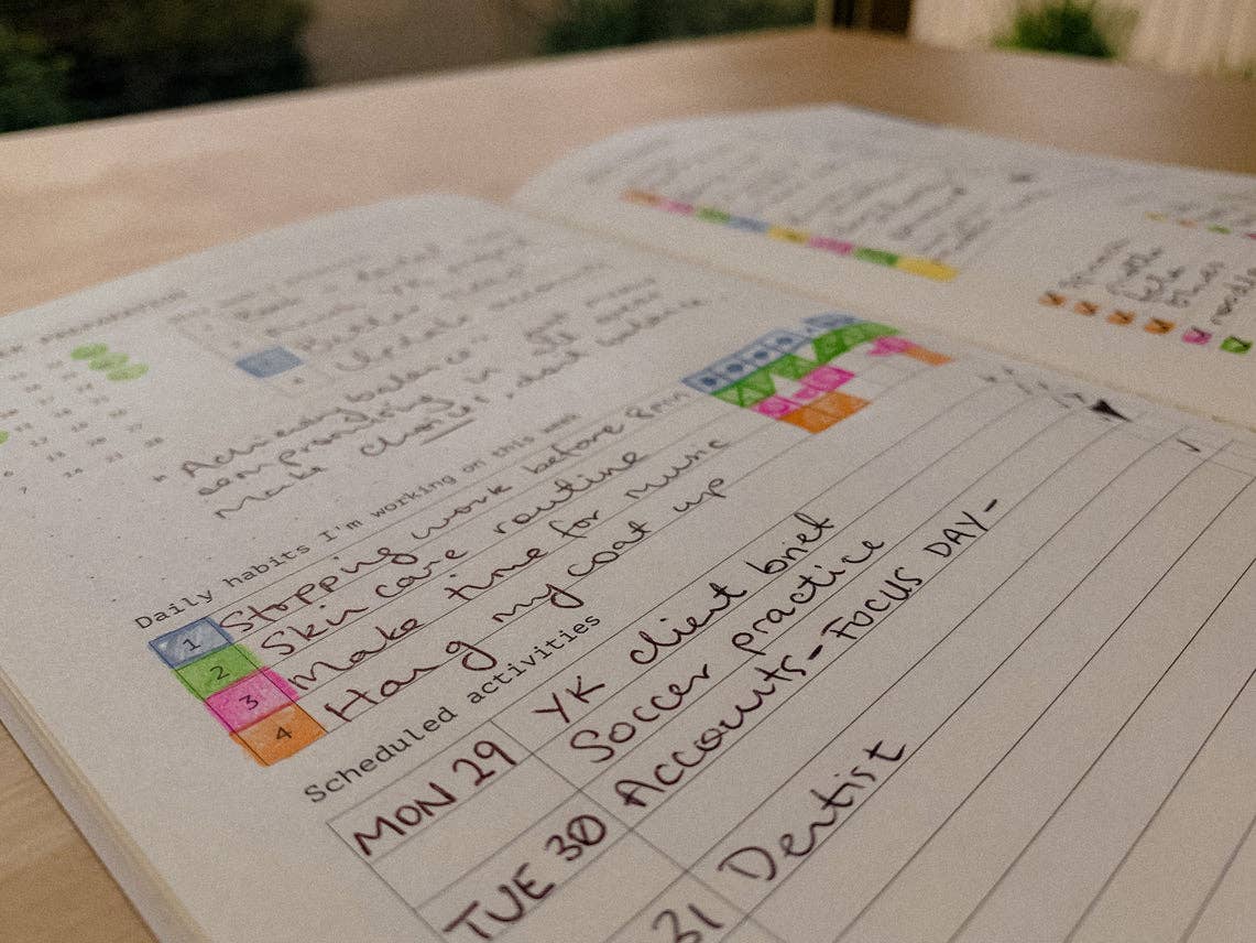 Fast Brain Daily Productivity Planner- Single Notebook: Pine Forest