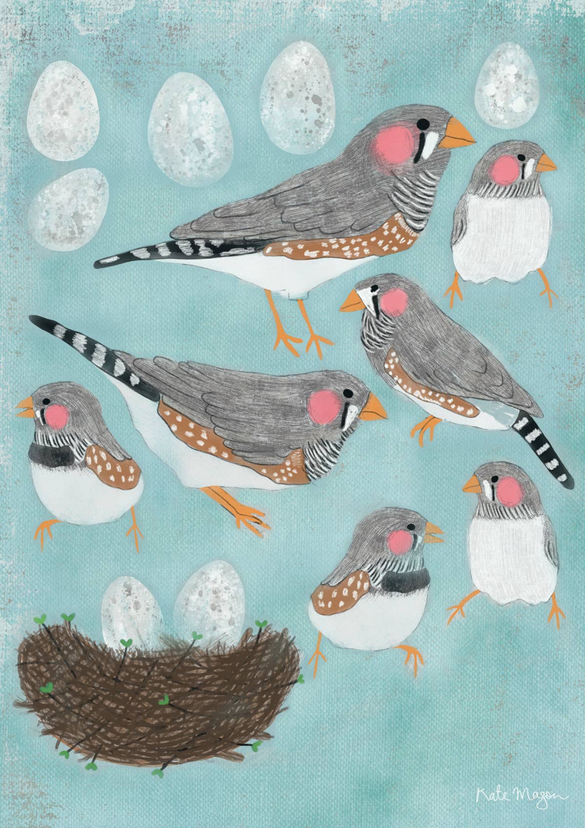 Birds Nest Eggs POSTCARD