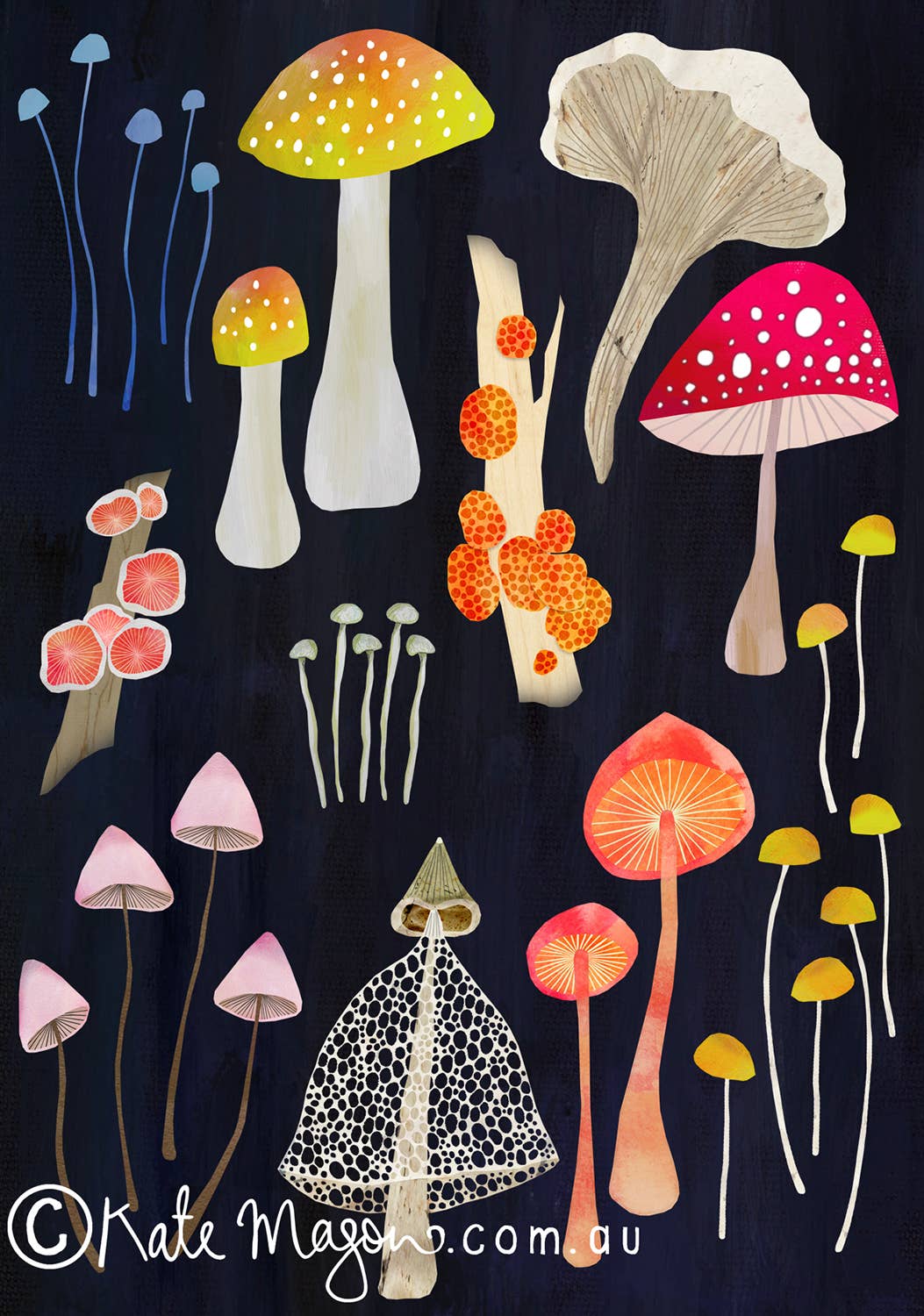 Mushrooms POSTCARD