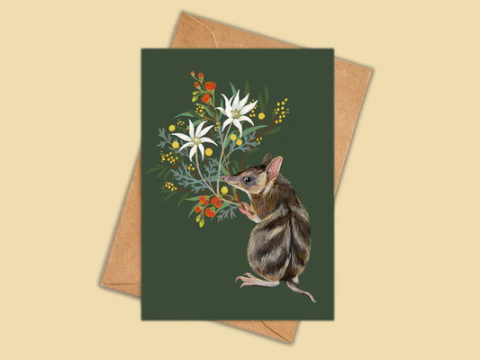Greeting Card - Bandicoot
