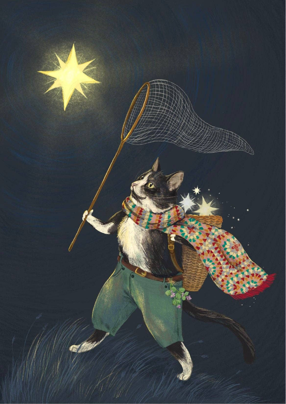 Illustration of a cat in a sweater holding a net towards a star on a dark blue background.